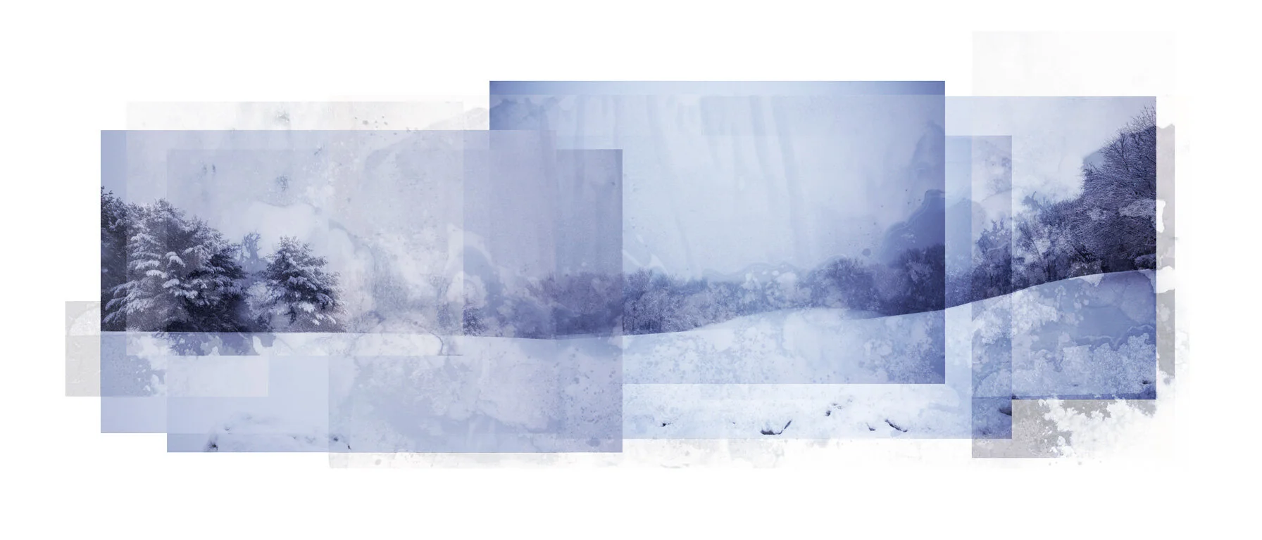 T R A C K I N G: Bonus Episode