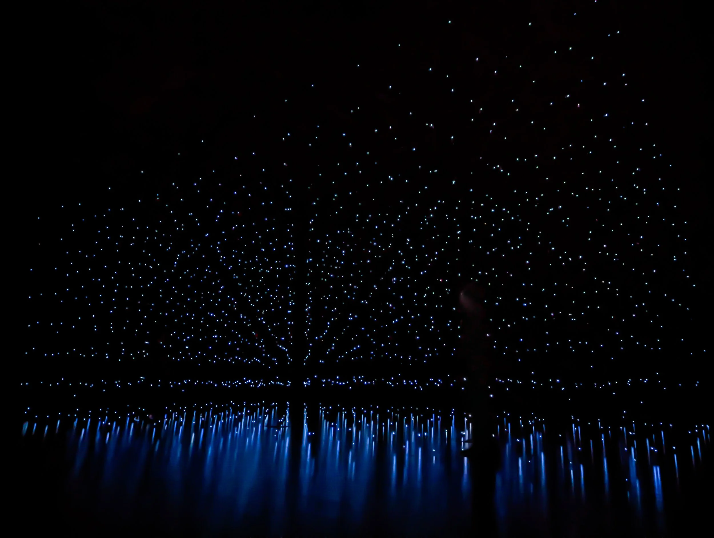 The Search For Unvarnished Experience // Andrew Schneider