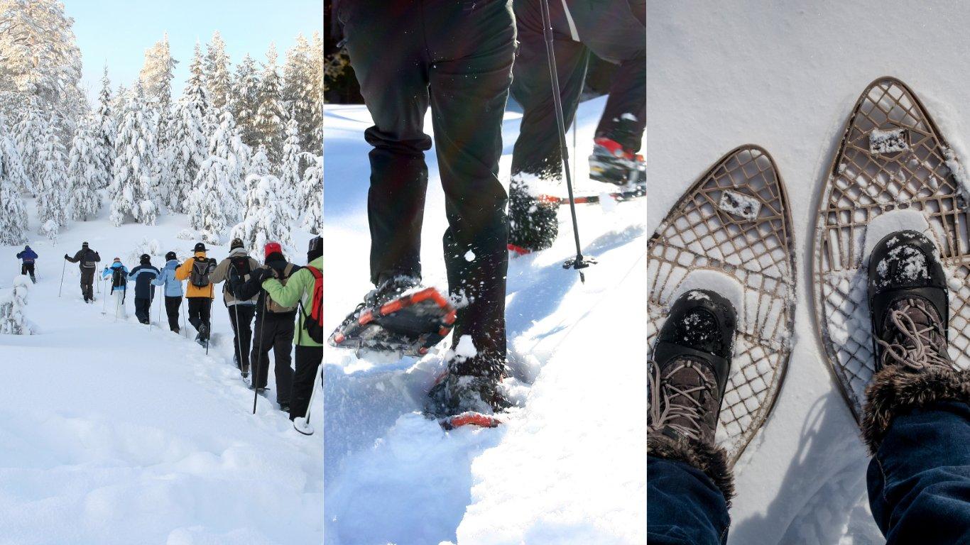 Walk on Snow! Discover and Try the Art of Snowshoes