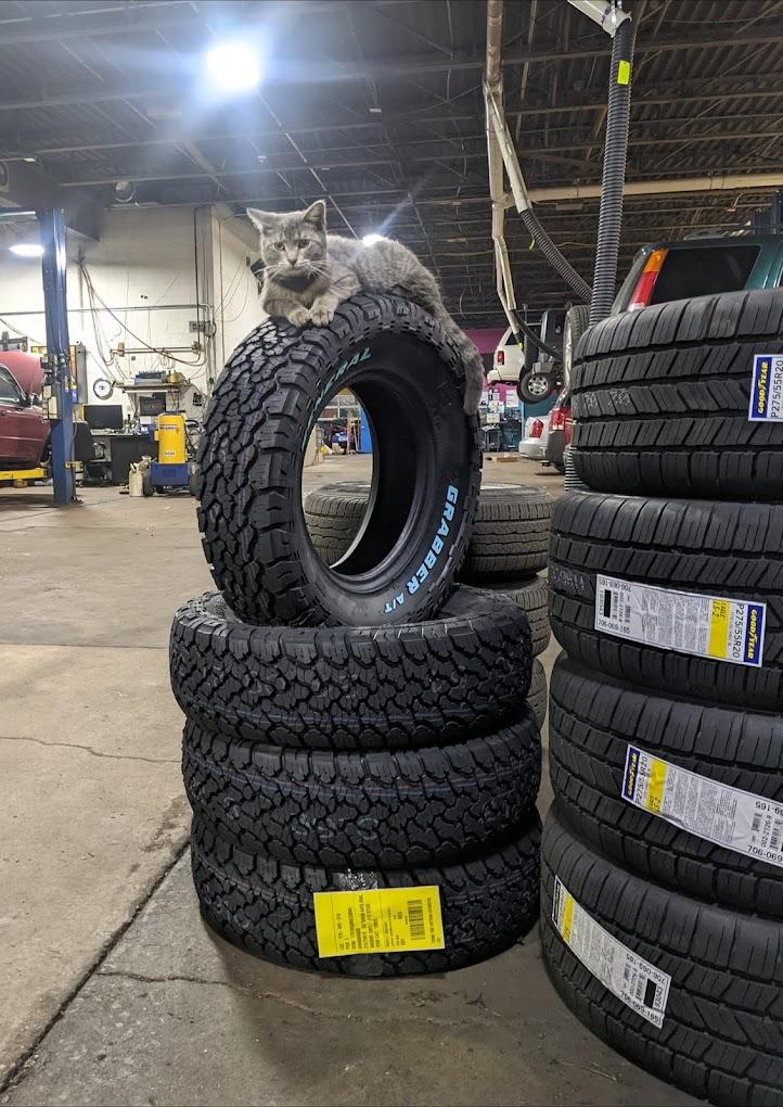 Turbo Tim’s Anything Automotive