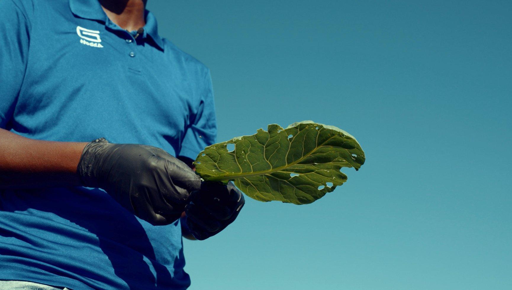 Rooted: Stories from Minnesota’s Farming Future